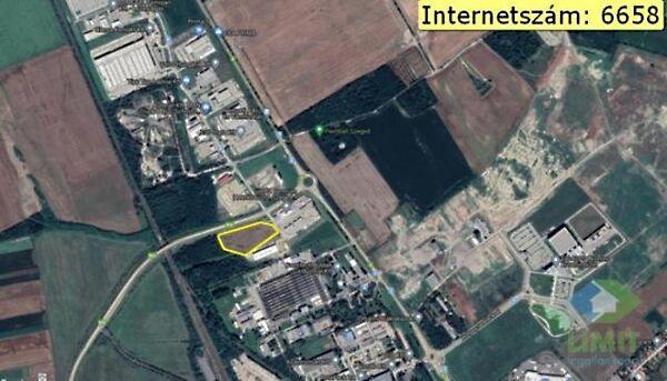 Wimmer Fülöp, Szeged 2. képe