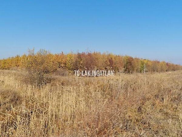 Gyomaendrőd 2. képe