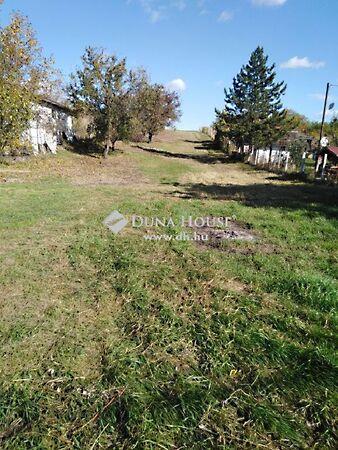 Szabadság, Alcsútdoboz képe