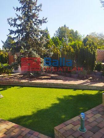 Fenyő u8tca közeli, Szigetszentmiklós 3. képe