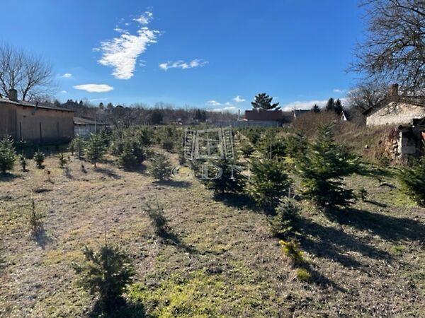 Kertvárosi 5+1 építési telek, Baracska 2. képe