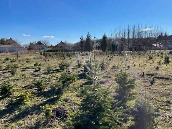 Kertvárosi 5+1 építési telek, Baracska 3. képe