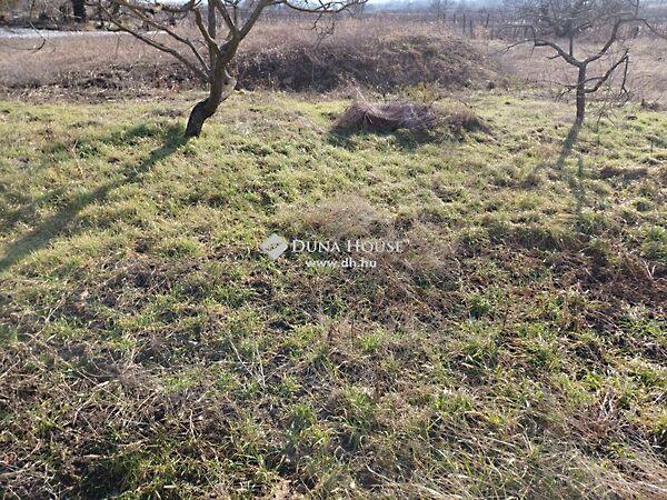 Galagonyás IV. dűlő, Bicske képe