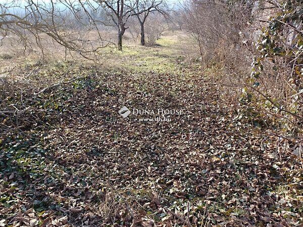 Galagonyás IV. dűlő, Bicske 3. képe