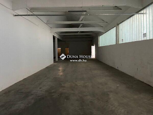 Csapó, Tata 2. képe