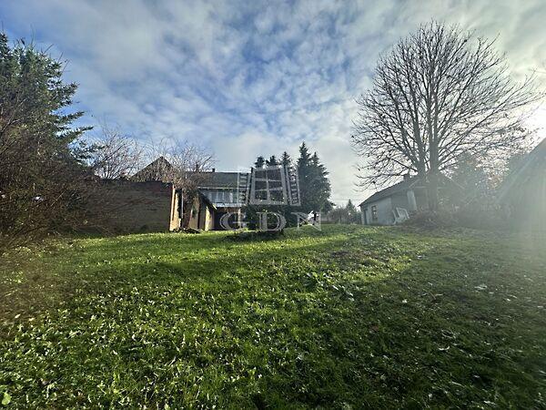 Patakparton, gyönyörű, Nemespátró képe