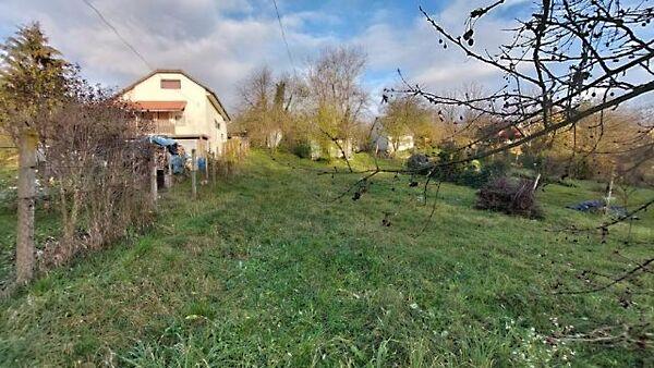 Vadkörte, Kaposvár képe