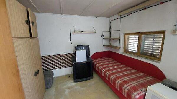 Vadkörte, Kaposvár 3. képe