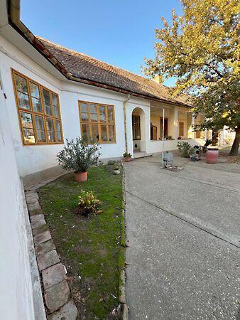 Rákóczi, Bóly 3. képe