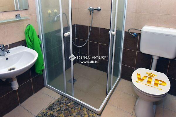 Alkotmány, Szegi képe