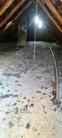 Szentpéterúr képe