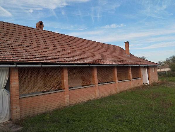 Jókai Mór utca, Csanádalberti képe