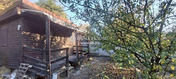 András, Tatabánya 3. képe