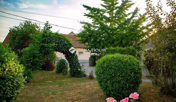 Petőfi Sándor, Villány 2. képe