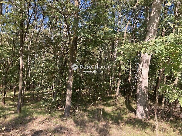 Cserény, Bugac 3. képe