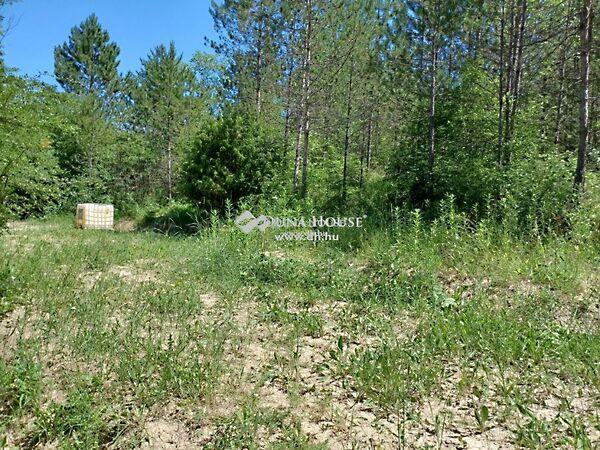 Déryné, Balatonfüred képe