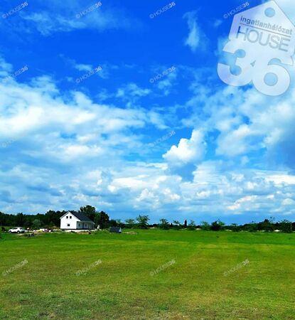 Búza, Délegyháza 2. képe