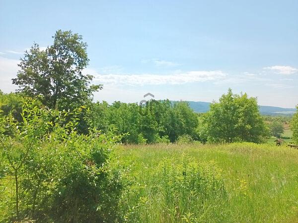 Vindornyalak 3. képe