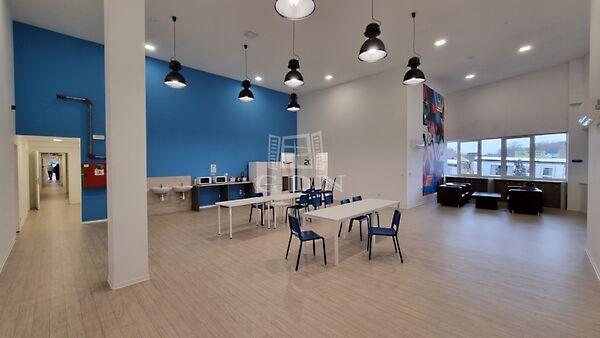 Szárcsa, Székesfehérvár 3. képe