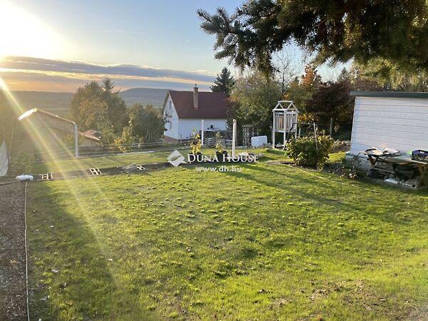 Vadrózsa, Budakeszi képe