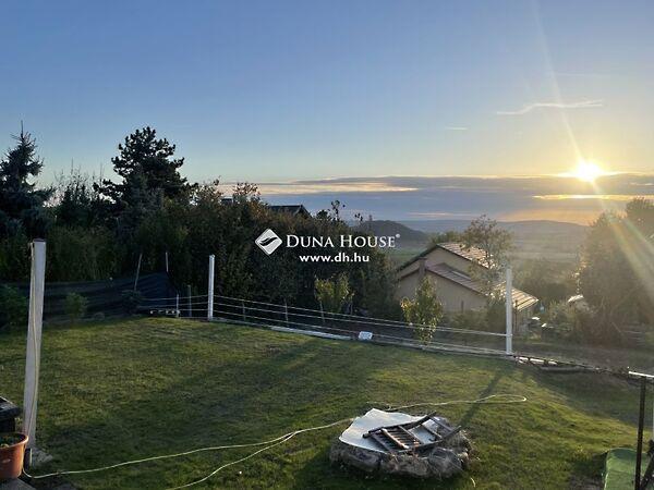 Vadrózsa, Budakeszi 2. képe