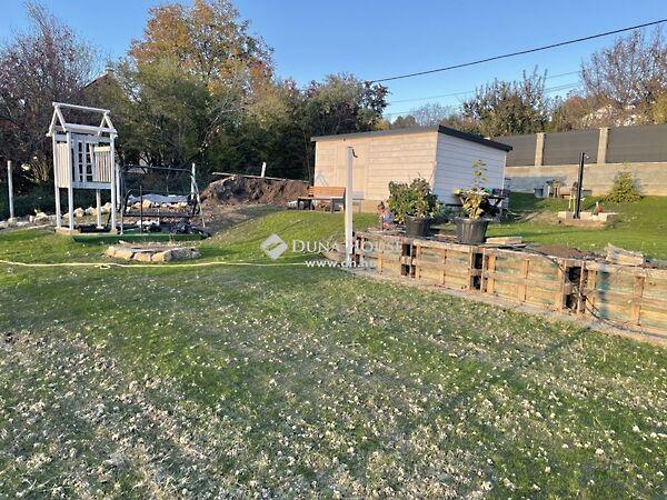 Vadrózsa, Budakeszi 3. képe