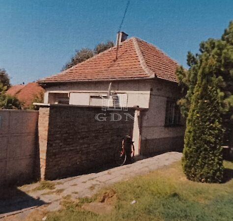 Táncsics Mihály, Gara 3. képe