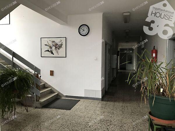 Matkói, Kecskemét képe