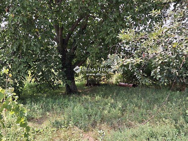 Galagonyás IV. dűlő, Bicske 2. képe