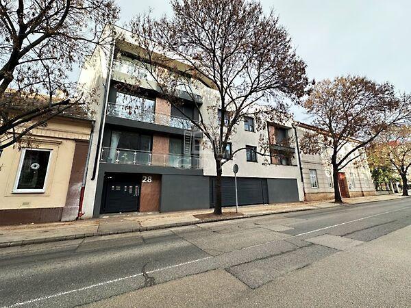 Budai, Székesfehérvár képe