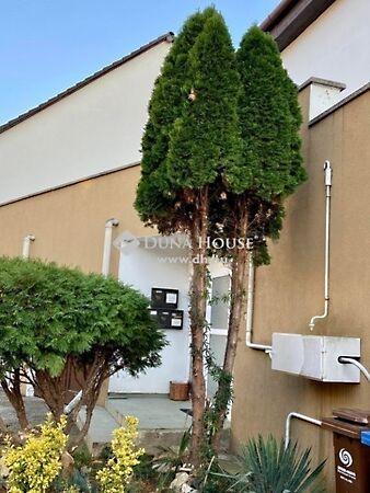 Zsongorkő, Pécs 3. képe