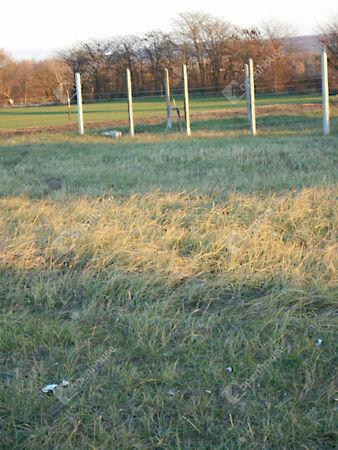 Balatonlelle 3. képe