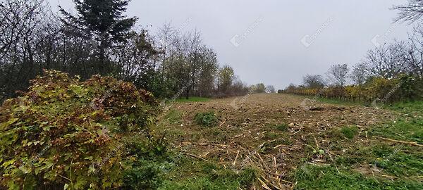 Sármellék 2. képe