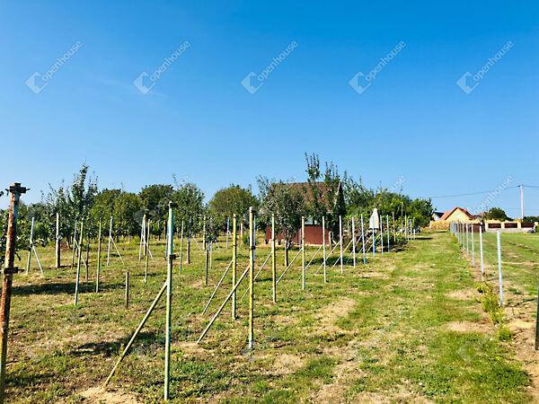 Alsópáhok 3. képe