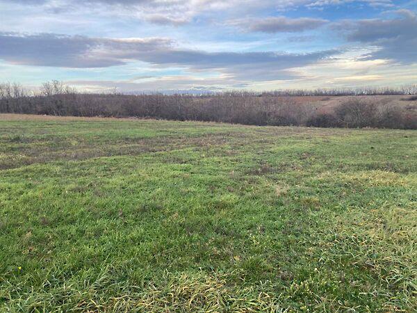 Bálványos 3. képe