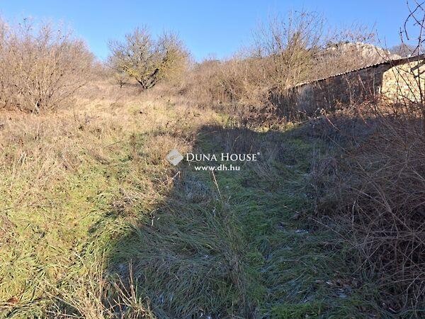 Szőlőhegy, Óbarok 2. képe