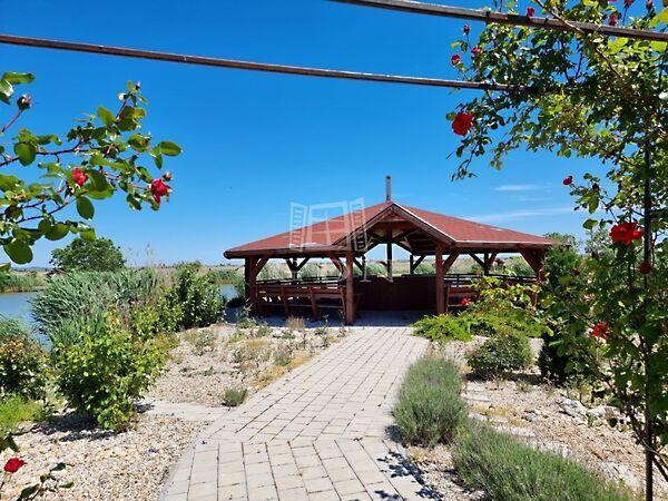 Tó, Székesfehérvár 2. képe