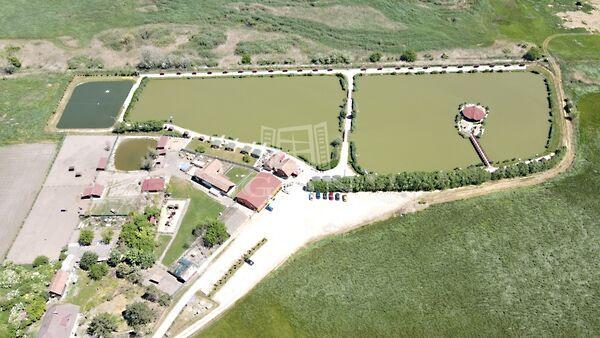 Tó, Székesfehérvár 3. képe