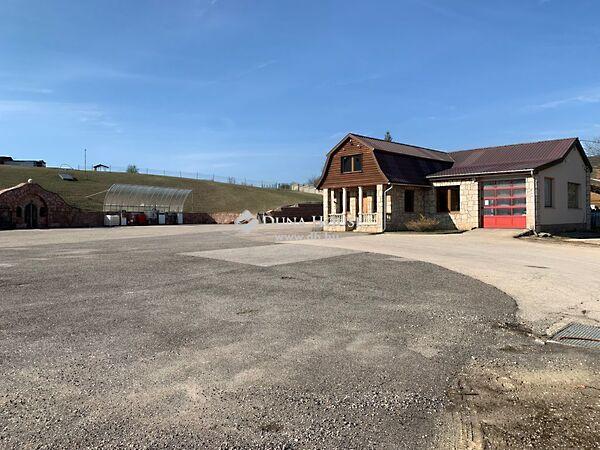 Petőfi Sándor, Tata 2. képe