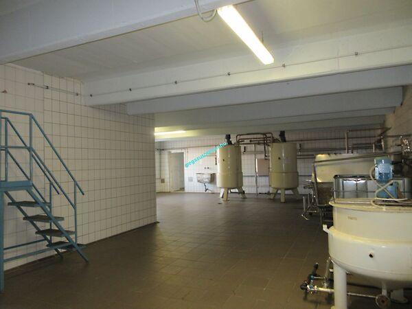 Kovács Hagyó Gyula, Ózd képe