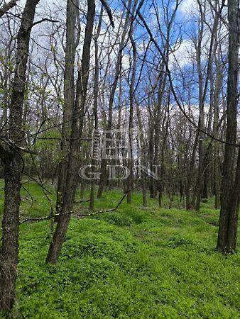 Pócsmegyer 3. képe