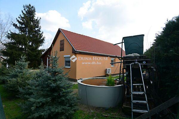 Felber István, Kecskemét képe