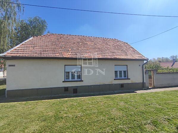 Zrínyi Miklós, Bácsborsód képe