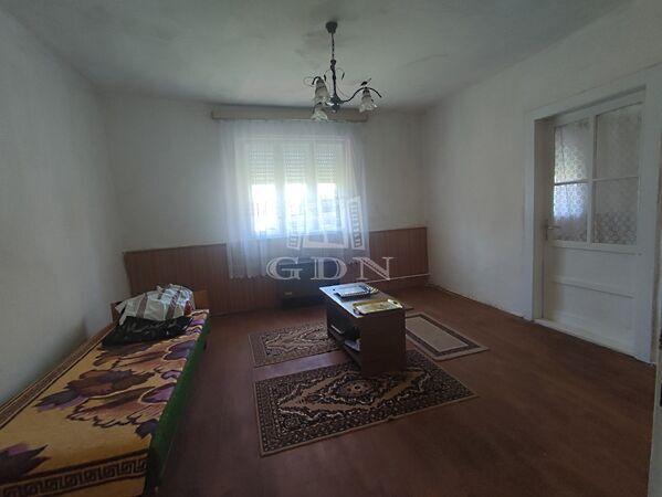 Zrínyi Miklós, Bácsborsód 3. képe