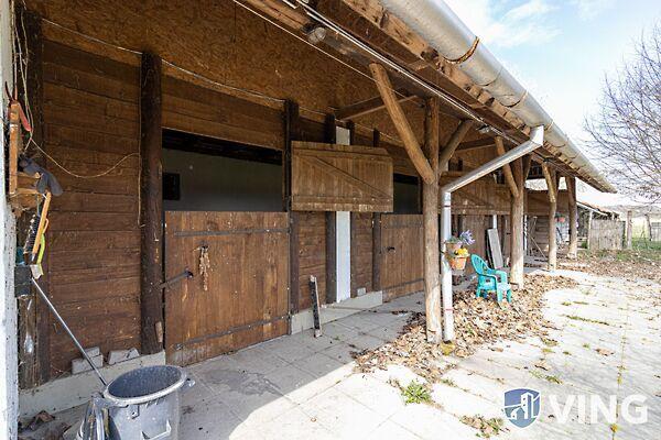 Kiskunlacháza képe