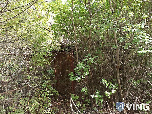 Dunabogdány 2. képe