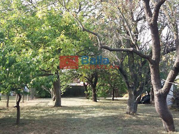 Rendezett, Aszófő 3. képe