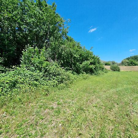 Békésszentandrás 2. képe