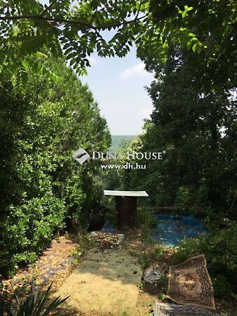 Diófa, Érd 2. képe