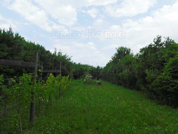 Alsópáhok 3. képe